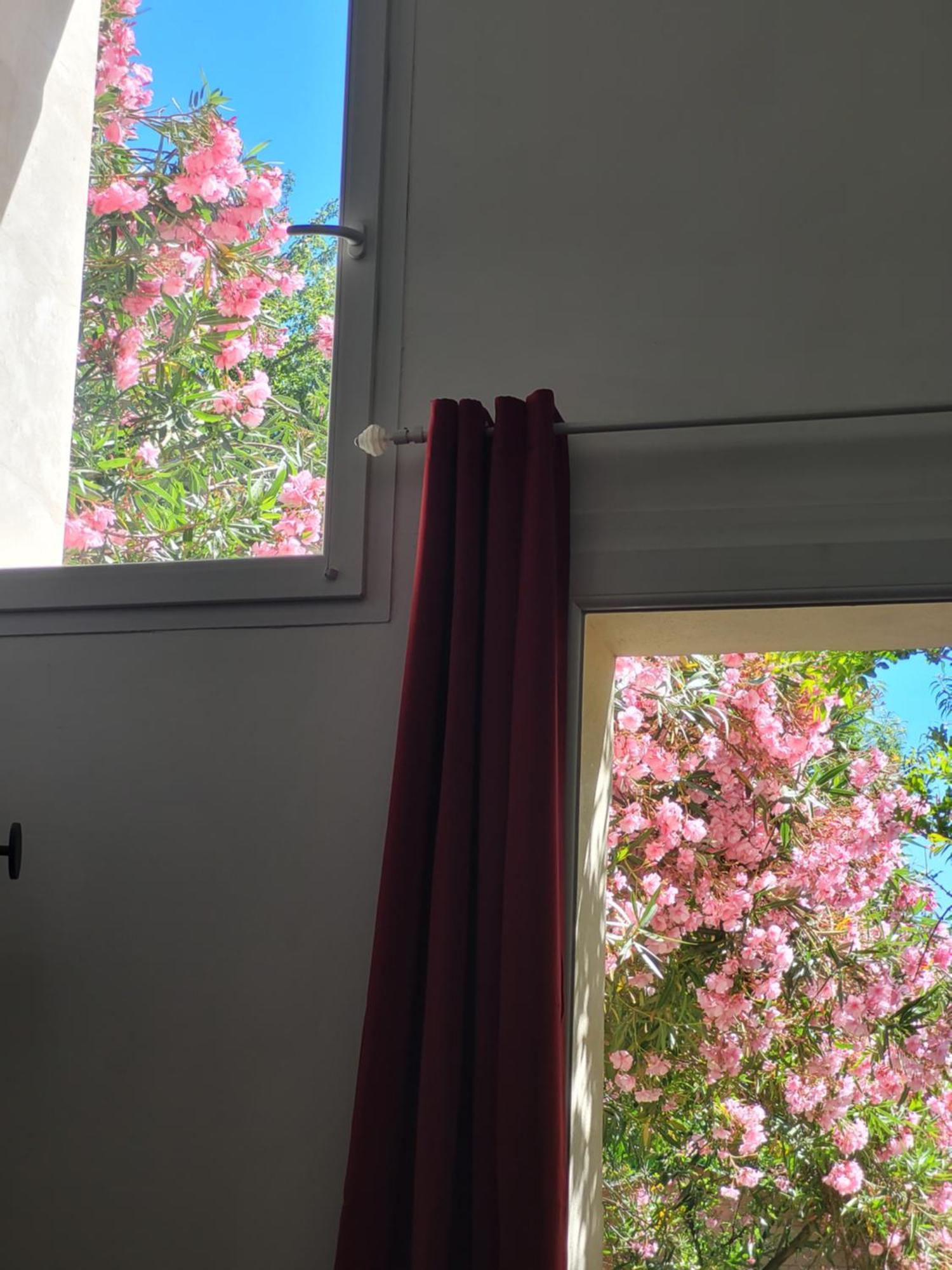 Les Pierrades En Camargue Villa Vauvert Esterno foto